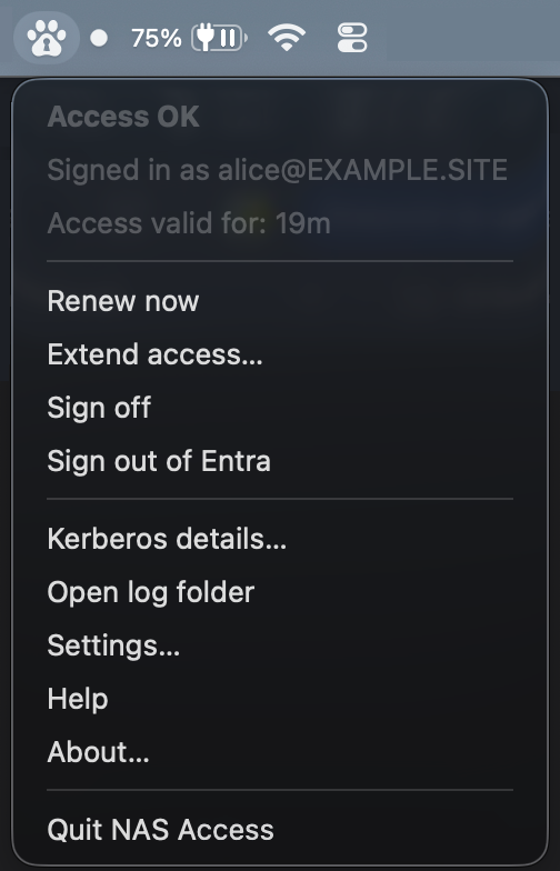 Меню NAS Access, открытое в строке меню macOS, с заголовком «Доступ в порядке».