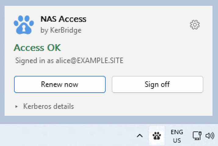 Панель состояния NAS Access, открытая над областью уведомлений Windows, с заголовком «Доступ в порядке».